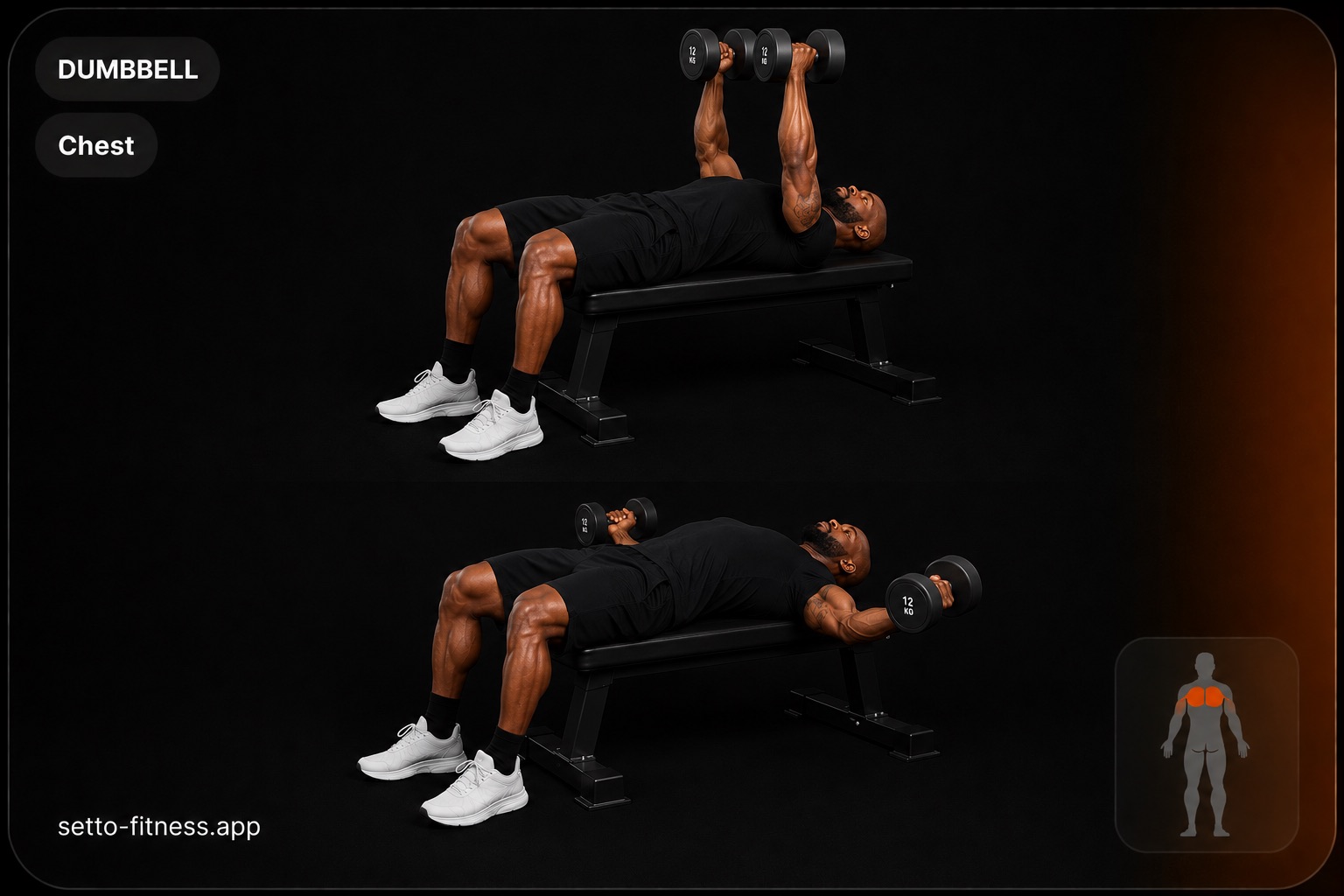 Dumbbell Fly